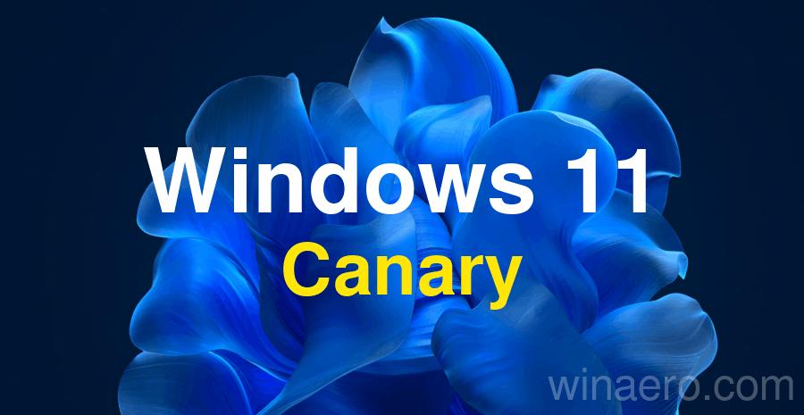 Windows 11 Build 27768 进入金丝雀通道，进行了一些修复和改进