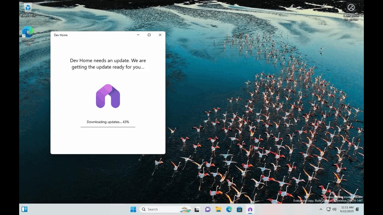 开发家庭正在成为Windows 11中的收件箱应用