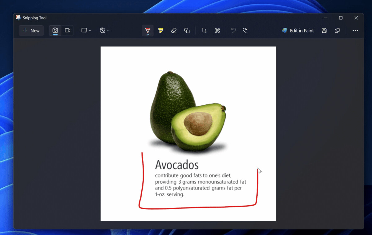 Windows 11 Insiders更新的剪切工具和记事本现在可以使用