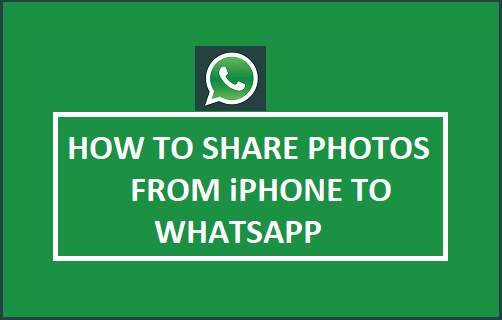 如何将照片从 iPhone 分享到 WhatsApp