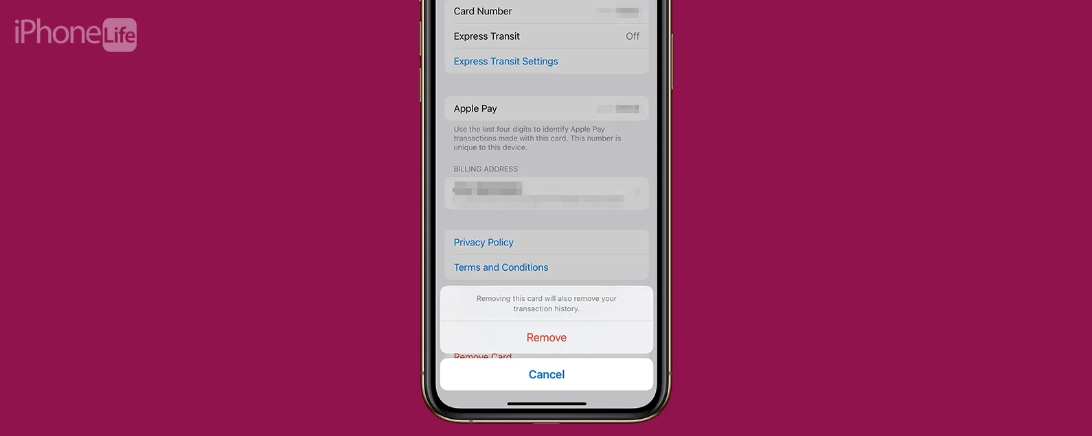 可以删除 Apple Pay 交易吗？这是你可以做的