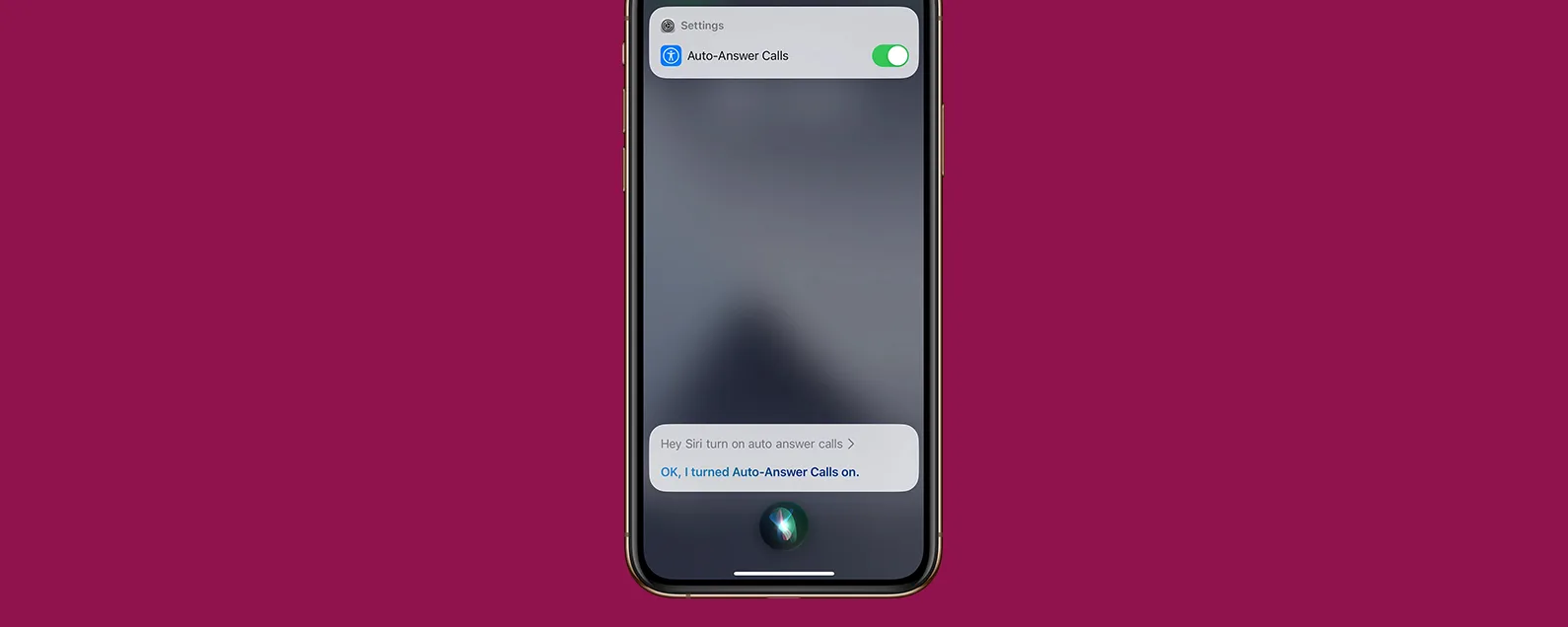 Siri 可以启用自动接听 iPhone