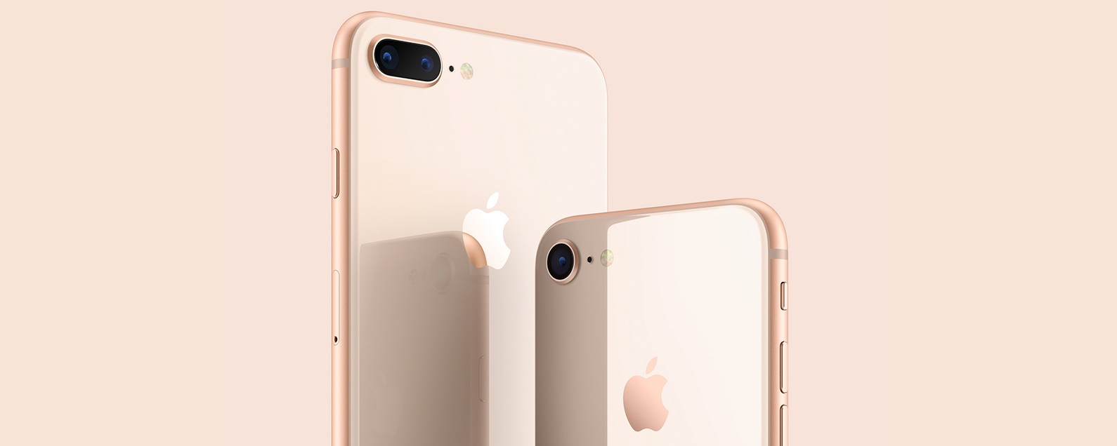 iPhone 基础知识：iPhone 8 Plus 及更早机型上的按钮和端口简介