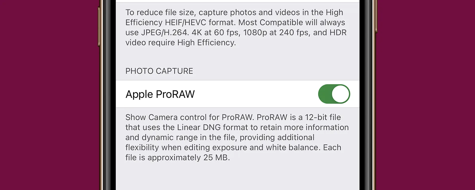 如何在 iPhone 12 Pro 和 Pro Max 上使用 ProRaw 摄影