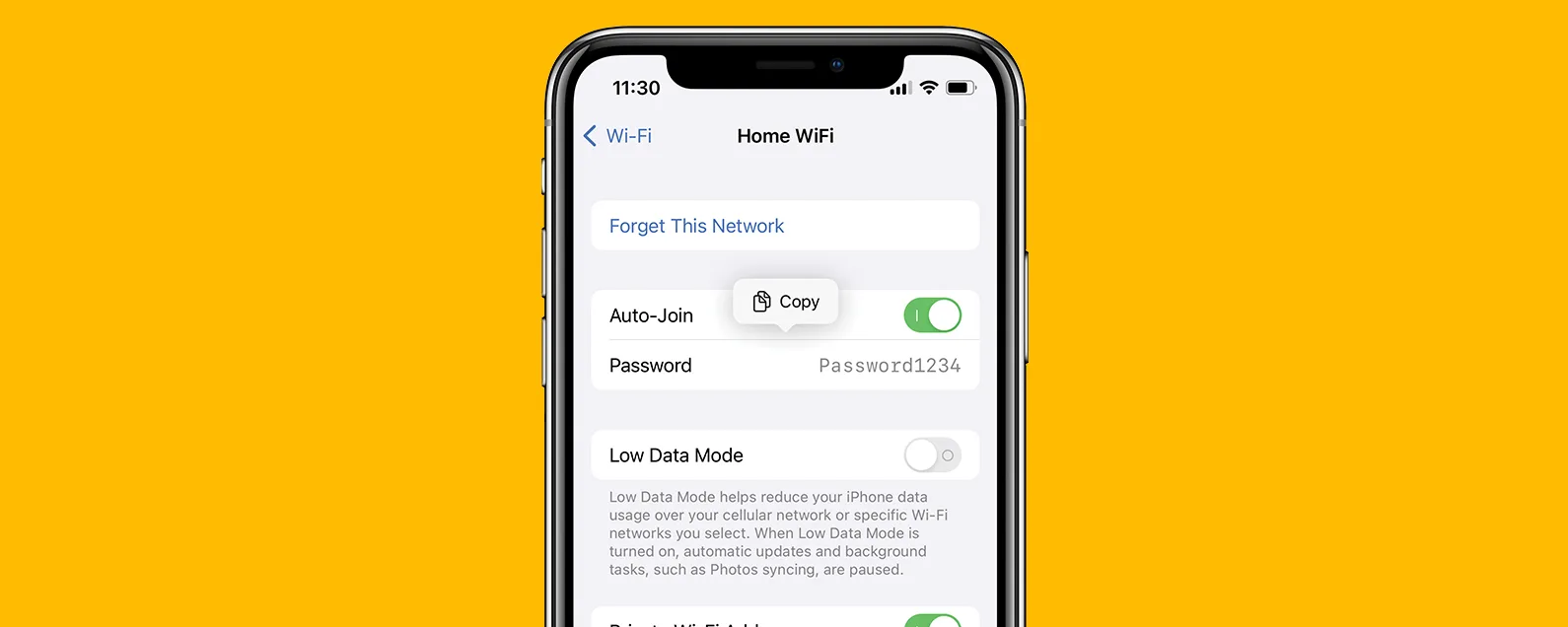 如何查看 iPhone 上的 Wi-Fi 密码