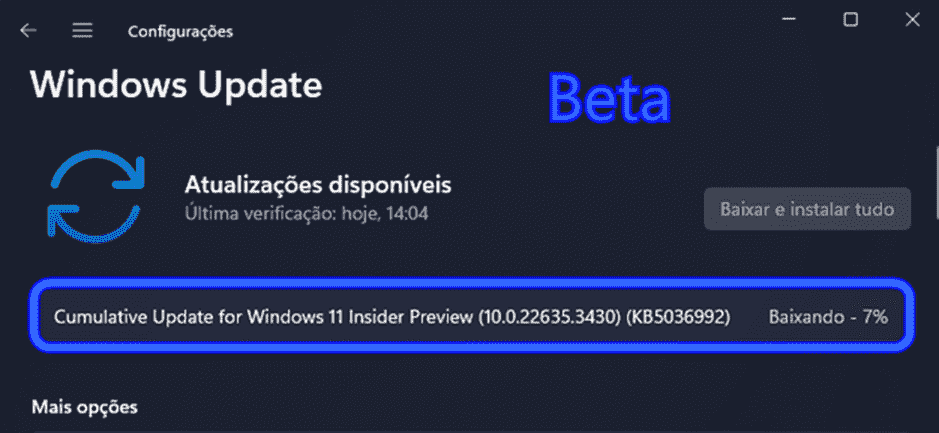 KB5036992 或 Windows 11 Build 22635.3430 已推出 beta Insider