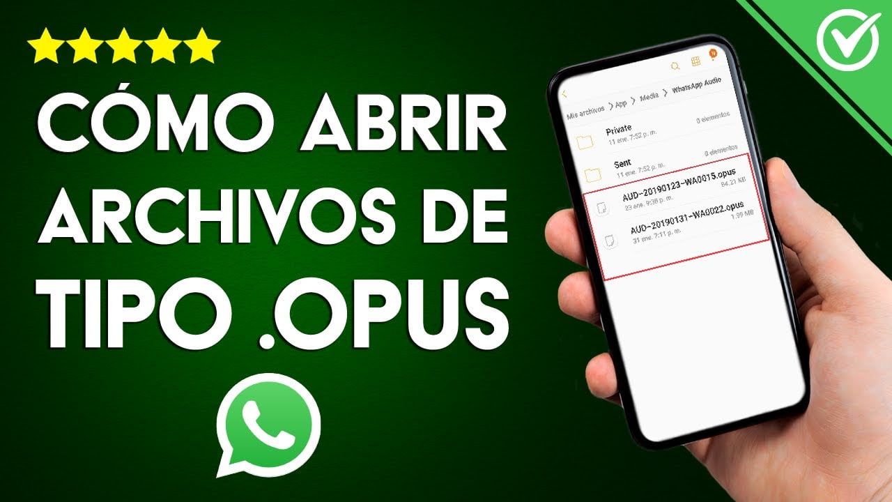 如何在 Android 上打开 opus 文件？