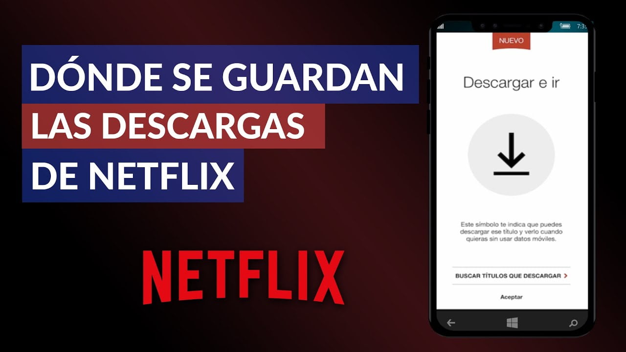 如何下载和分享 Netflix 电影？