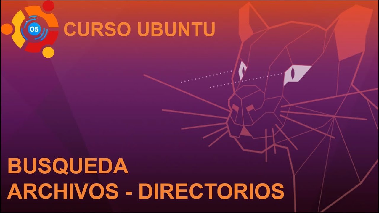 如何在Linux Ubuntu上查找文件？