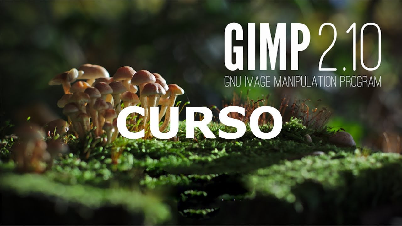 安装 GIMP 程序后，会出现单独的窗口，我应该单击哪个选项使其成为一个窗口？