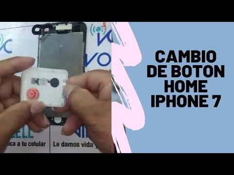 更改iPhone 7的主页按钮要花多少钱？