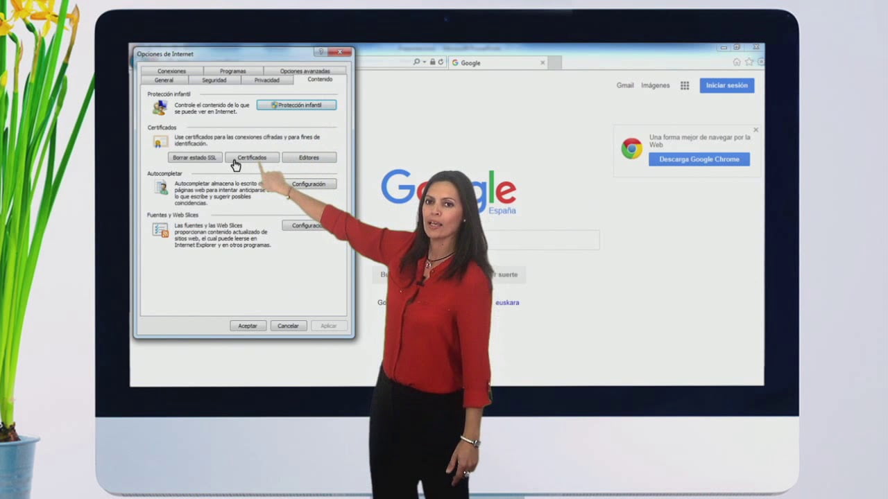 Windows 8中的数字证书在哪里？