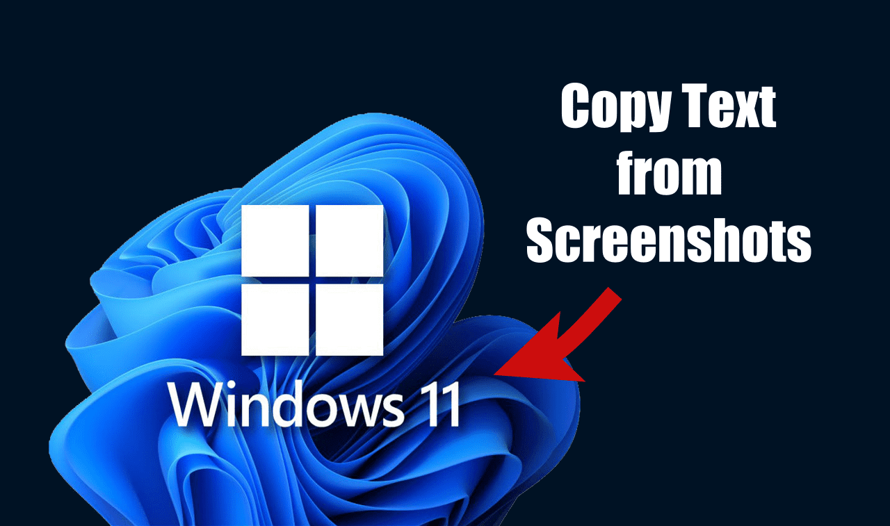 如何在 Windows 11 上从屏幕截图复制文本