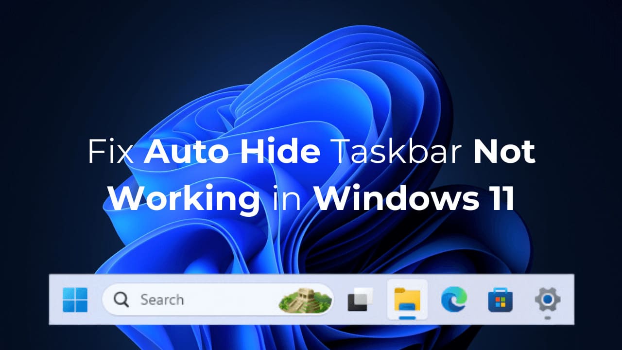 如何修复自动隐藏任务栏在Windows 11中不起作用