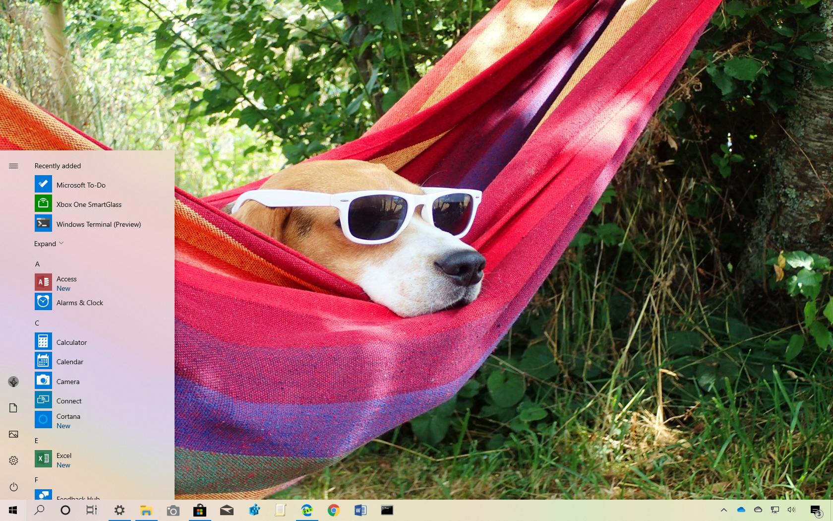  windows 10 dogs in shades 